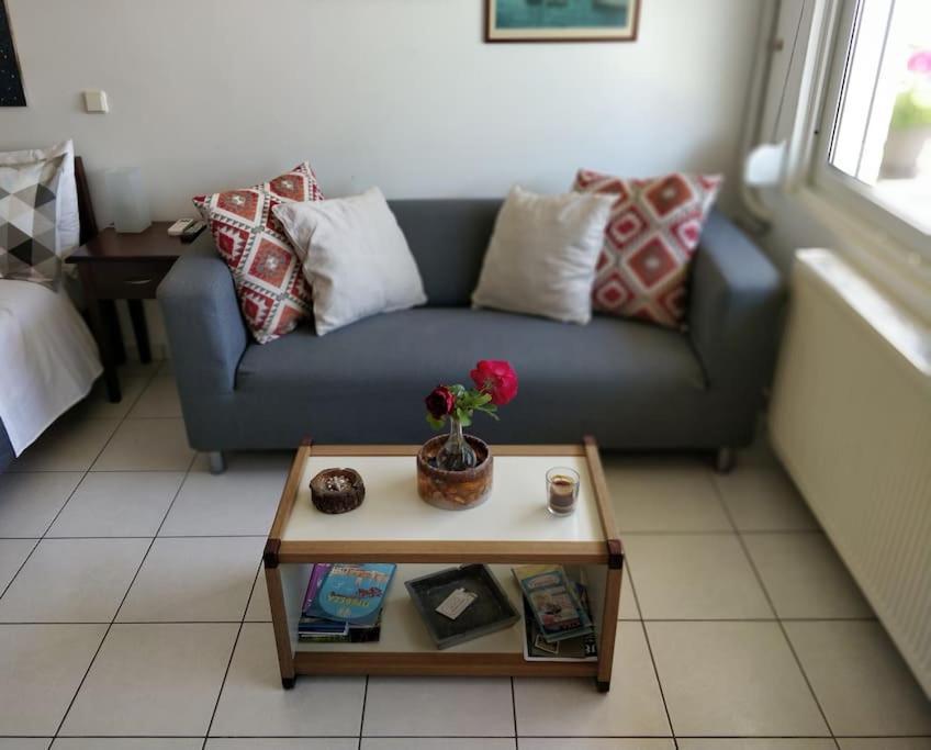 Ionian Blue Studio Prévéza Extérieur photo