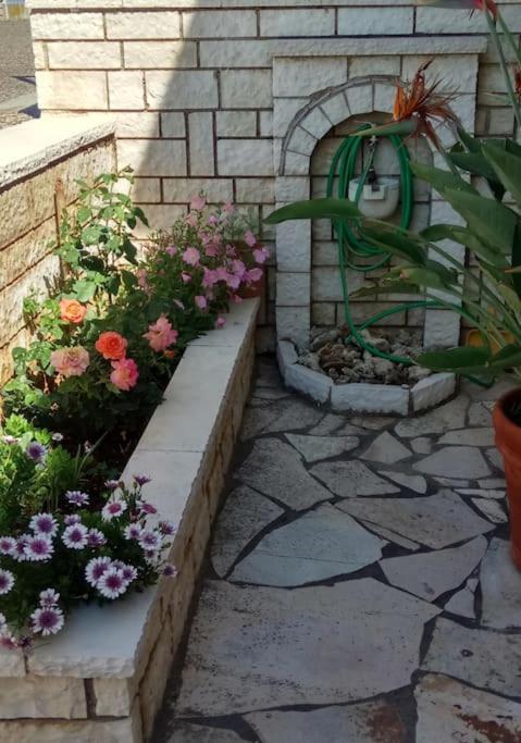 Ionian Blue Studio Prévéza Extérieur photo