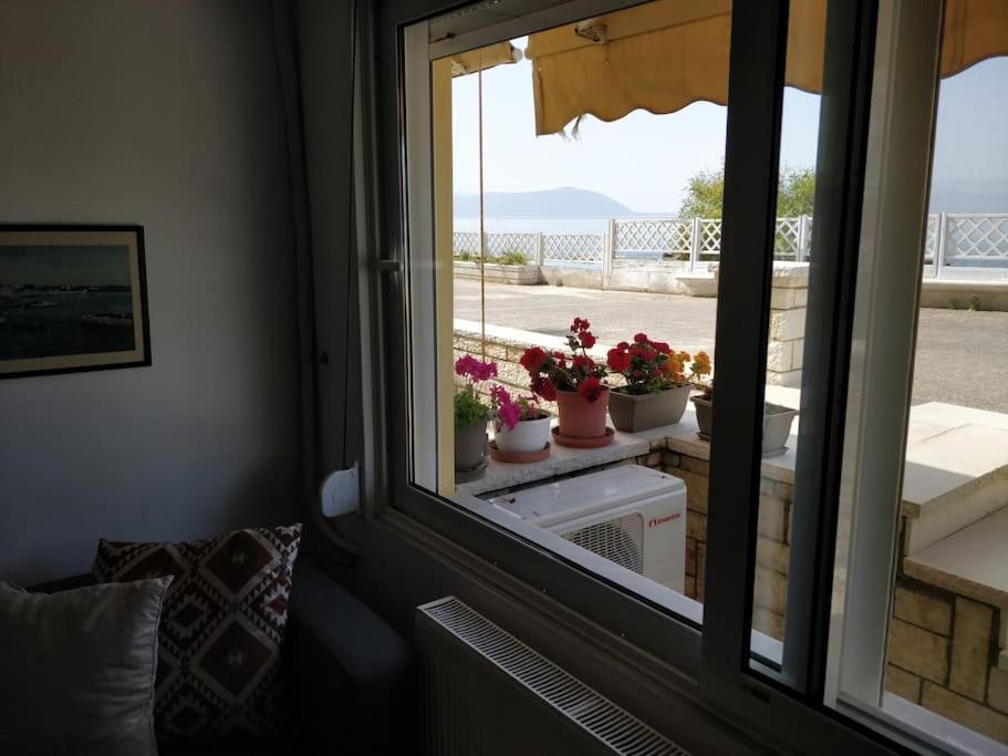 Ionian Blue Studio Prévéza Extérieur photo